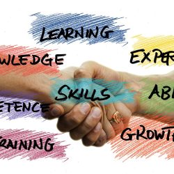 skills, professional development, competence, knowledge, success, strategy, ability, experience, goal, concept, performance, businessman, reliability, professionalism, flexibility, innovation, training, growth, handshake, skills, skills, skills, skills, professional development, knowledge, success, success, success, success, success, experience, goal, innovation, training, training, training, training, handshake